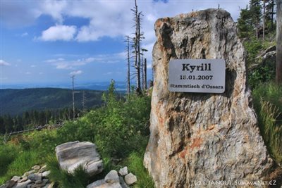 Památník na orkán Kyrill, který v roce 2007 v okolí Ostrého zničil lesní porosty